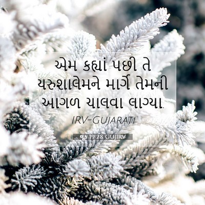 Picture 07 - લૂક 19:28 GUJIRV - એમ કહ્યાં પછી તે - Bible Verse Picture