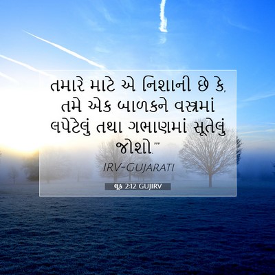 Picture 07 - લૂક 2:12 GUJIRV - તમારે માટે એ - Bible Verse Picture
