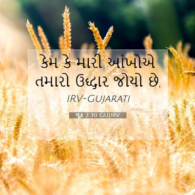 Picture 07 - લૂક 2:30 GUJIRV - કેમ કે મારી આંખોએ - Bible Verse Picture