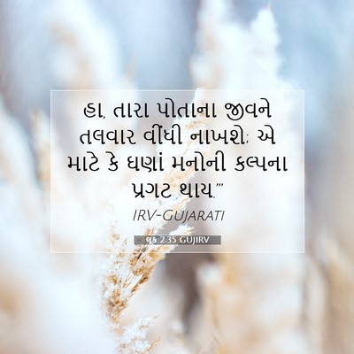 Picture 07 - લૂક 2:35 GUJIRV - હા, તારા પોતાના - Bible Verse Picture