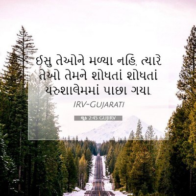 Picture 07 - લૂક 2:45 GUJIRV - ઈસુ તેઓને મળ્યા - Bible Verse Picture