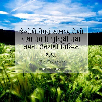 Picture 07 - લૂક 2:47 GUJIRV - જેઓએ તેમનું - Bible Verse Picture