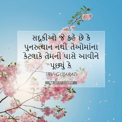Picture 07 - લૂક 20:27 GUJIRV - સદૂકીઓ જે કહે છે કે - Bible Verse Picture