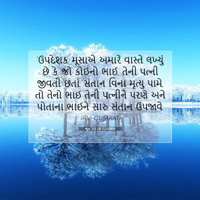 Picture 07 - લૂક 20:28 GUJIRV - ‘ઉપદેશક, મૂસાએ - Bible Verse Picture