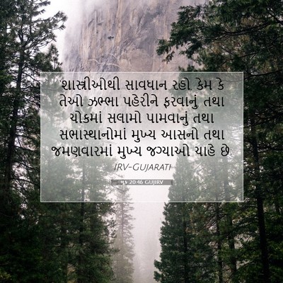 Picture 07 - લૂક 20:46 GUJIRV - ‘શાસ્ત્રીઓથી - Bible Verse Picture