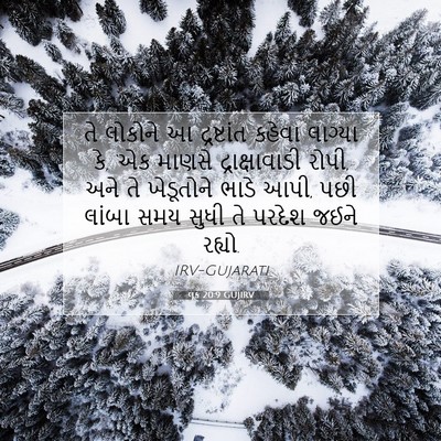 Picture 07 - લૂક 20:9 GUJIRV - તે લોકોને આ - Bible Verse Picture