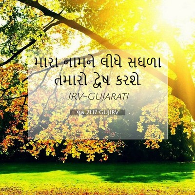Picture 07 - લૂક 21:17 GUJIRV - મારા નામને લીધે - Bible Verse Picture