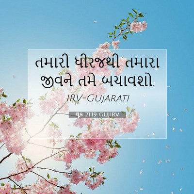 Picture 07 - લૂક 21:19 GUJIRV - તમારી ધીરજથી - Bible Verse Picture