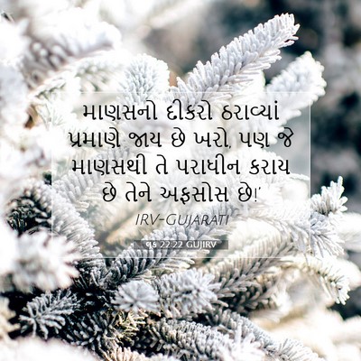 Picture 07 - લૂક 22:22 GUJIRV - માણસનો દીકરો - Bible Verse Picture