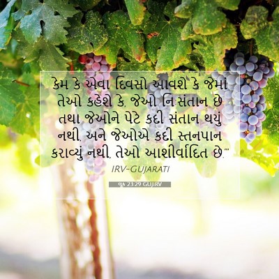 Picture 07 - લૂક 23:29 GUJIRV - કેમ કે એવા દિવસો - Bible Verse Picture