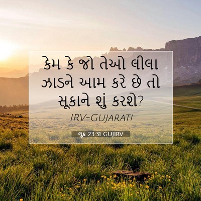 Picture 07 - લૂક 23:31 GUJIRV - કેમ કે જો તેઓ લીલા - Bible Verse Picture