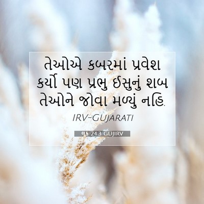 Picture 07 - લૂક 24:3 GUJIRV - તેઓએ કબરમાં - Bible Verse Picture