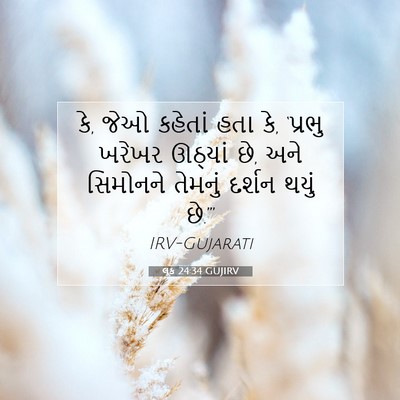 Picture 07 - લૂક 24:34 GUJIRV - કે, જેઓ કહેતાં હતા - Bible Verse Picture