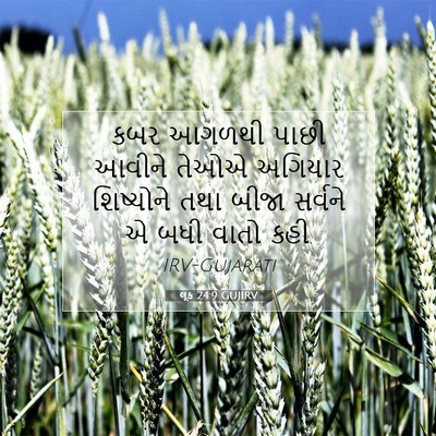 Picture 07 - લૂક 24:9 GUJIRV - કબર આગળથી પાછી - Bible Verse Picture