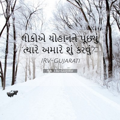 Picture 07 - લૂક 3:10 GUJIRV - લોકોએ યોહાનને - Bible Verse Picture