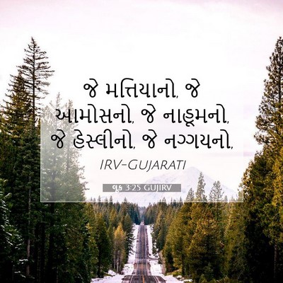 Picture 07 - લૂક 3:25 GUJIRV - જે મત્તિયાનો, જે - Bible Verse Picture