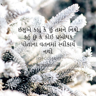 Picture 07 - લૂક 4:24 GUJIRV - ઈસુએ કહ્યું કે, - Bible Verse Picture