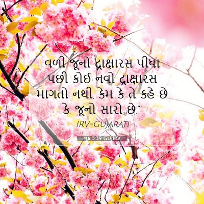 Picture 07 - લૂક 5:39 GUJIRV - વળી જૂનો - Bible Verse Picture