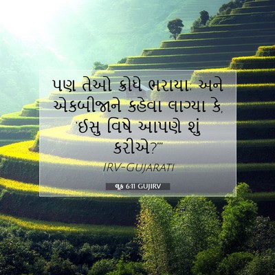Picture 07 - લૂક 6:11 GUJIRV - પણ તેઓ ક્રોધે - Bible Verse Picture
