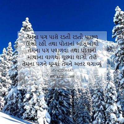 Picture 07 - લૂક 7:38 GUJIRV - તેમના પગ પાસે રડતી - Bible Verse Picture