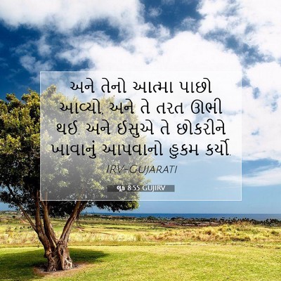 Picture 07 - લૂક 8:55 GUJIRV - અને તેનો આત્મા - Bible Verse Picture