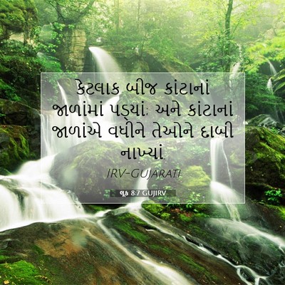 Picture 07 - લૂક 8:7 GUJIRV - કેટલાક બીજ - Bible Verse Picture