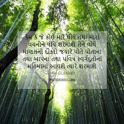 Picture 07 - લૂક 9:26 GUJIRV - કેમ કે જે કોઈ મારે - Bible Verse Picture