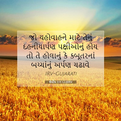 Picture 07 - લેવીય 1:14 GUJIRV - જો યહોવાહને માટે - Bible Verse Picture