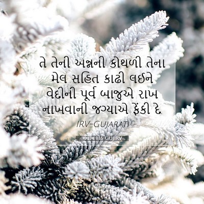 Picture 07 - લેવીય 1:16 GUJIRV - તે તેની અન્નની - Bible Verse Picture