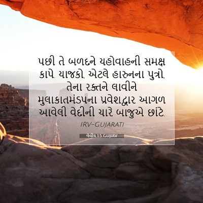 Picture 07 - લેવીય 1:5 GUJIRV - પછી તે બળદને - Bible Verse Picture