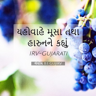 Picture 07 - લેવીય 11:1 GUJIRV - યહોવાહે મૂસા તથા - Bible Verse Picture