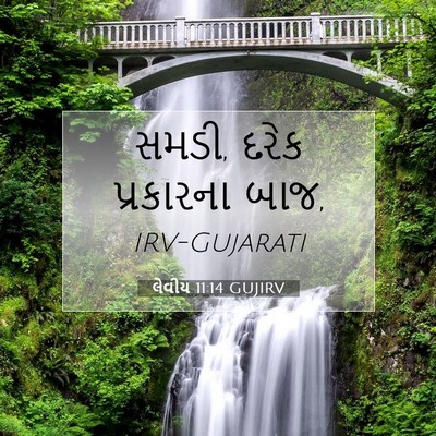 Picture 07 - લેવીય 11:14 GUJIRV - સમડી, દરેક - Bible Verse Picture