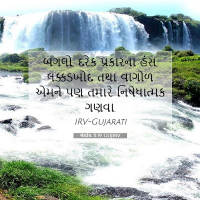 Picture 07 - લેવીય 11:19 GUJIRV - બગલો, દરેક - Bible Verse Picture