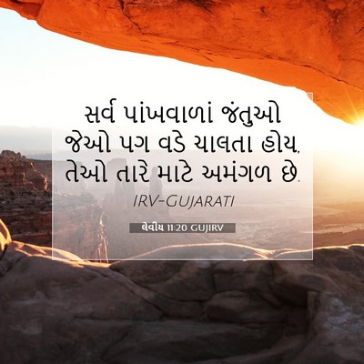 Picture 07 - લેવીય 11:20 GUJIRV - સર્વ પાંખવાળાં - Bible Verse Picture