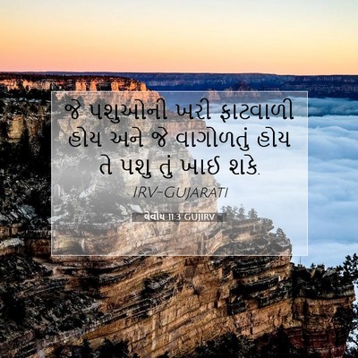 Picture 07 - લેવીય 11:3 GUJIRV - જે પશુઓની ખરી - Bible Verse Picture