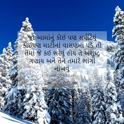 Picture 07 - લેવીય 11:33 GUJIRV - જો આમાંનું કોઈ પણ - Bible Verse Picture