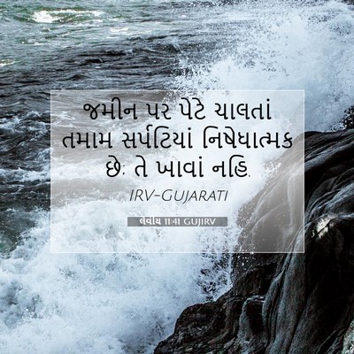 Picture 07 - લેવીય 11:41 GUJIRV - જમીન પર પેટે - Bible Verse Picture