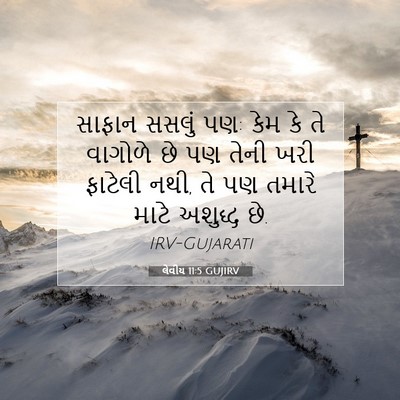 Picture 07 - લેવીય 11:5 GUJIRV - સાફાન સસલું પણ: કેમ - Bible Verse Picture