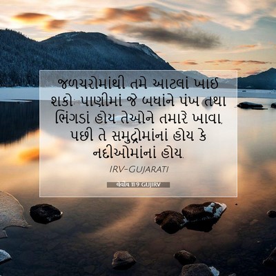 Picture 07 - લેવીય 11:9 GUJIRV - જળચરોમાંથી તમે - Bible Verse Picture