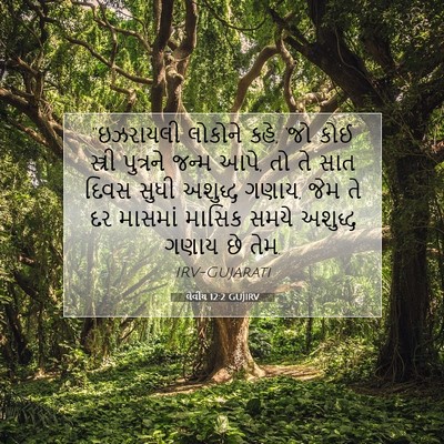 Picture 07 - લેવીય 12:2 GUJIRV - “ઇઝરાયલી લોકોને - Bible Verse Picture