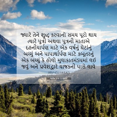 Picture 07 - લેવીય 12:6 GUJIRV - જ્યારે તેને શુદ્ધ - Bible Verse Picture