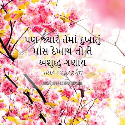Picture 07 - લેવીય 13:14 GUJIRV - પણ જ્યારે તેમાં - Bible Verse Picture