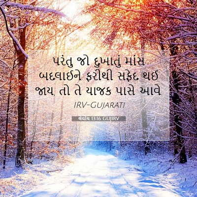 Picture 07 - લેવીય 13:16 GUJIRV - પરંતુ જો દુખાતું - Bible Verse Picture