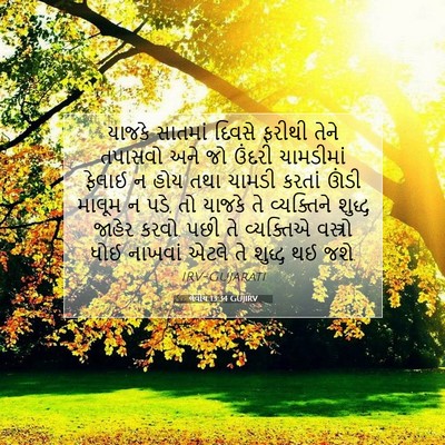 Picture 07 - લેવીય 13:34 GUJIRV - યાજકે સાતમાં - Bible Verse Picture