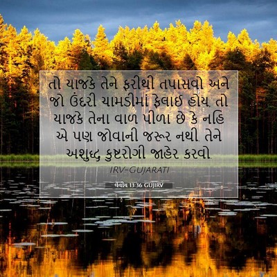 Picture 07 - લેવીય 13:36 GUJIRV - તો યાજકે તેને - Bible Verse Picture