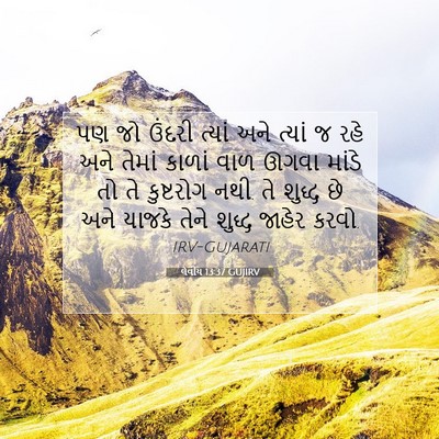 Picture 07 - લેવીય 13:37 GUJIRV - પણ જો ઉંદરી ત્યાં - Bible Verse Picture