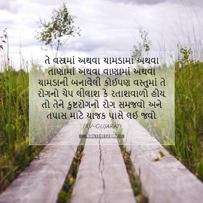 Picture 07 - લેવીય 13:49 GUJIRV - તે વસ્ત્રમાં અથવા - Bible Verse Picture