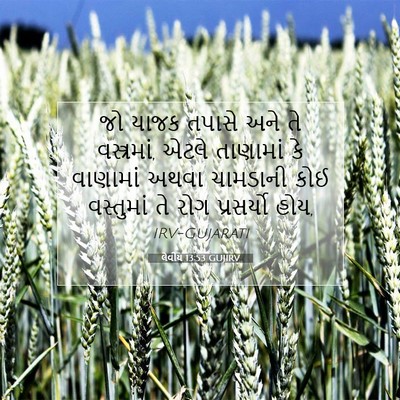 Picture 07 - લેવીય 13:53 GUJIRV - જો યાજક તપાસે અને - Bible Verse Picture