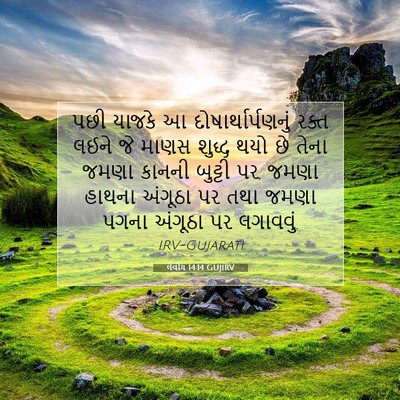 Picture 07 - લેવીય 14:14 GUJIRV - પછી યાજકે આ - Bible Verse Picture