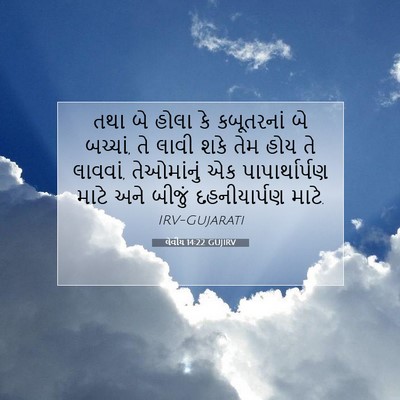 Picture 07 - લેવીય 14:22 GUJIRV - તથા બે હોલા કે - Bible Verse Picture